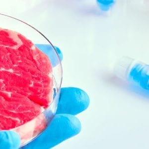 Empresa pretende lançar no país carne produzida em laboratório até 2024