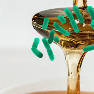 Uso do mel como veículo para probióticos