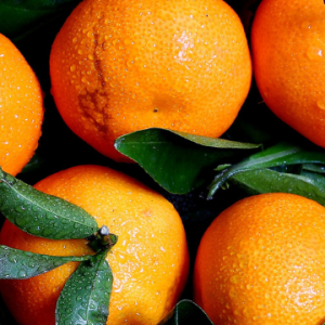 Compostos encontrados em cascas de frutas trazem benefícios a saúde humana