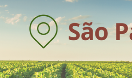 Agricultura regenerativa em foco: CLAR 2025 reúne especialistas para discutir futuro sustentável no Brasil e América Latina
